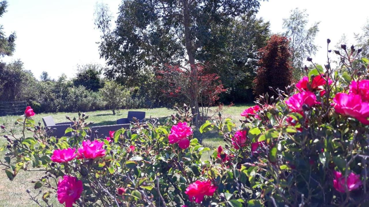 Auberge Aux Marais Montmartin-en-Graignes Bagian luar foto